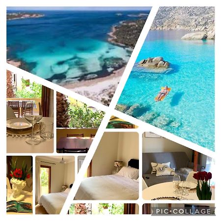 Nest House - Esclusivo Appartamento Marina Di Olbia- Mater Olbia - Beaches - Close To The Airport - Private Parking- Full Comforts - Екстер'єр фото