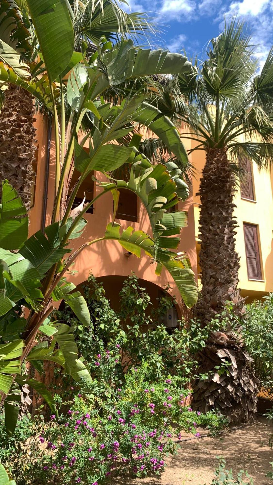Nest House - Esclusivo Appartamento Marina Di Olbia- Mater Olbia - Beaches - Close To The Airport - Private Parking- Full Comforts - Екстер'єр фото
