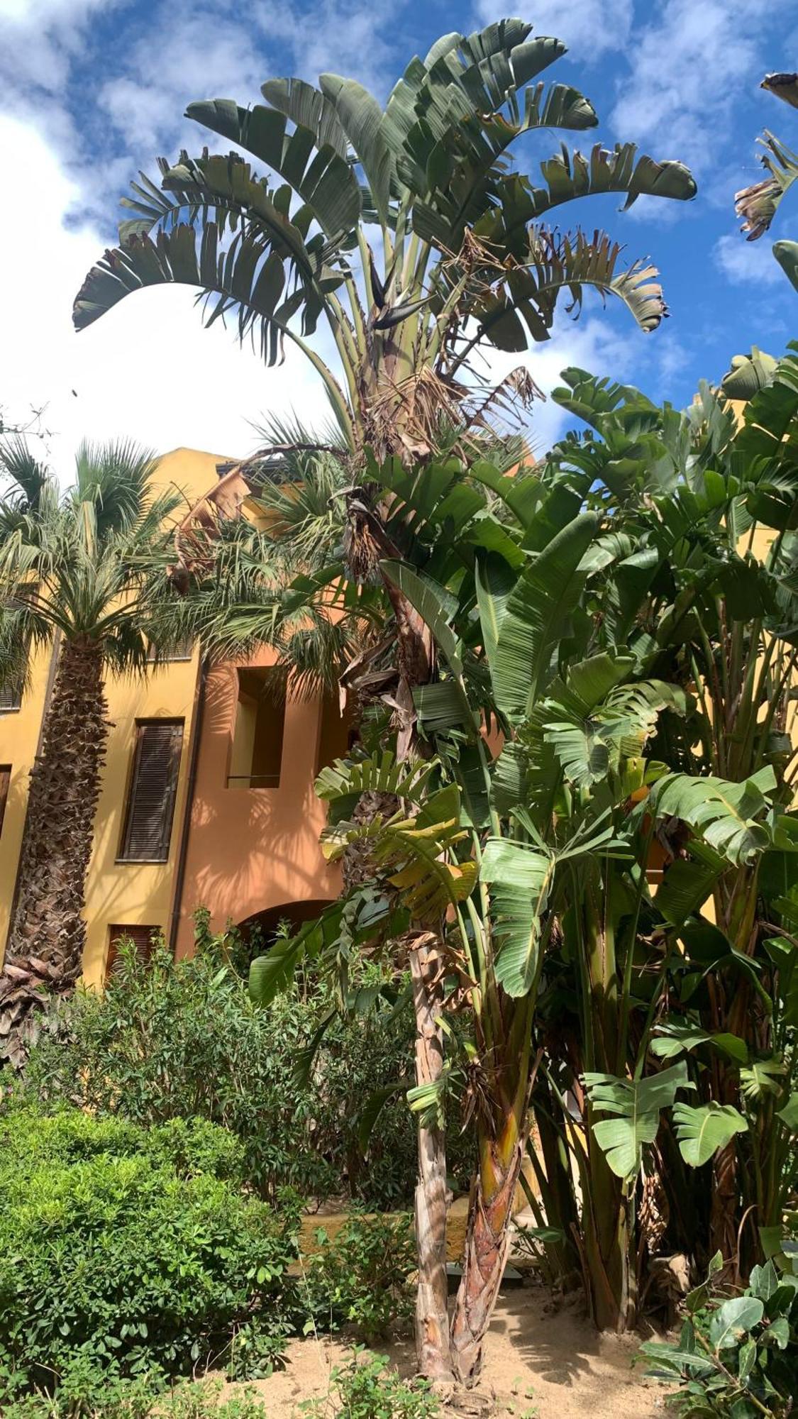 Nest House - Esclusivo Appartamento Marina Di Olbia- Mater Olbia - Beaches - Close To The Airport - Private Parking- Full Comforts - Екстер'єр фото
